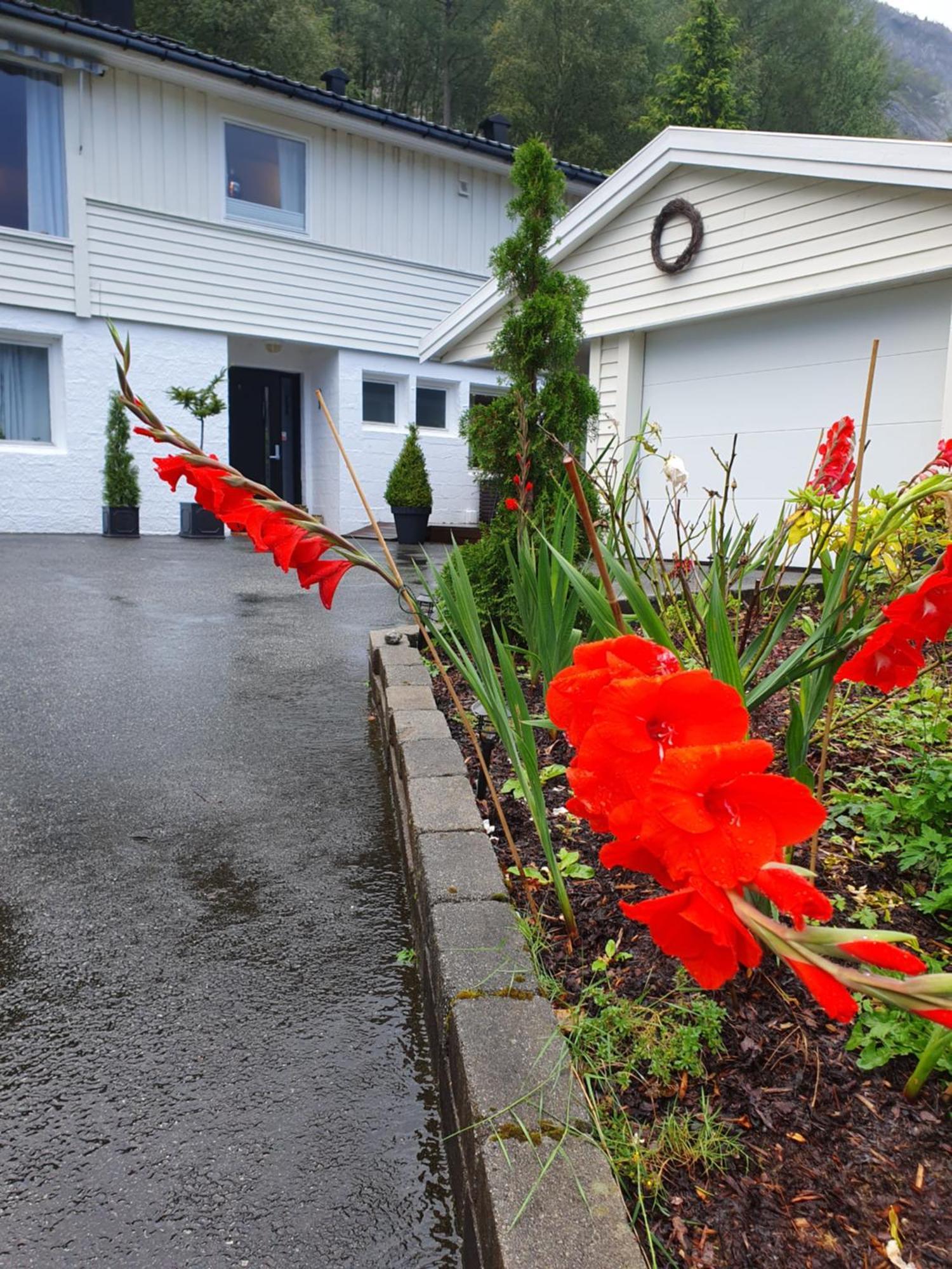 Ustigen Apartman Oltedal Kültér fotó